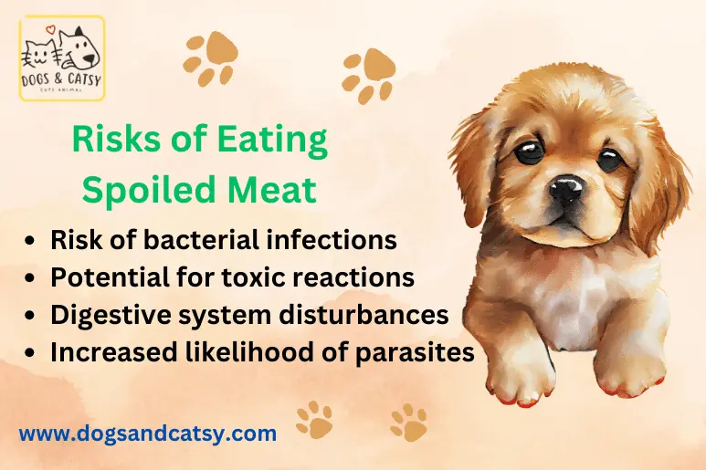 Risk of eating spoiled meat to your puppy