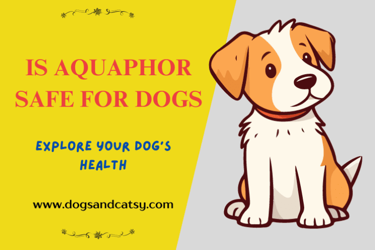 Is Aquaphor Safe for Dogs