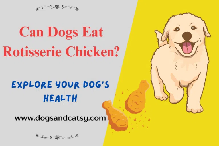 Can Dogs Eat Rotisserie Chicken