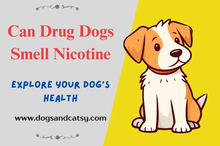 Can Drug Dogs Smell Nicotine