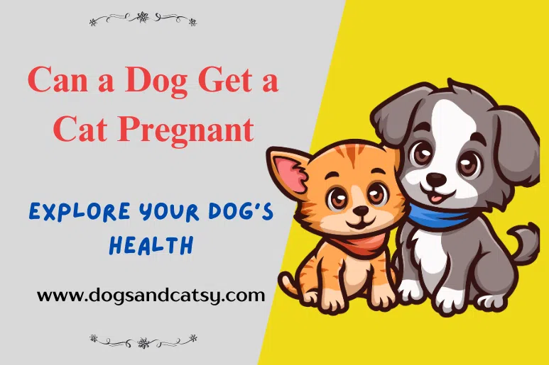 Can a Dog Get a Cat Pregnant