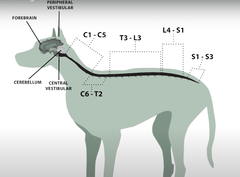 Stroke details