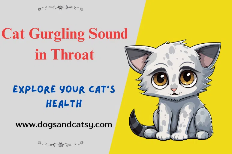 Cat Gurgling Sound in Throat