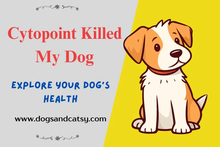 Cytopoint Killed My Dog