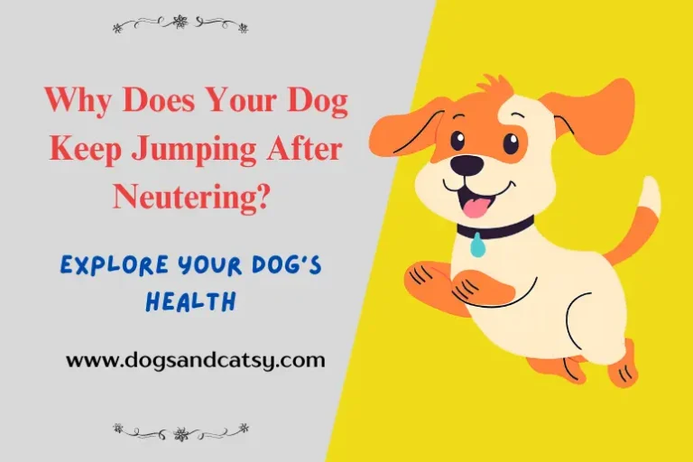 Post-Neuter Jumps? 5 Schoking Secrets Why Dogs Leap!