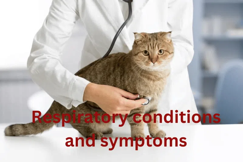 Respiratory conditions and symptoms