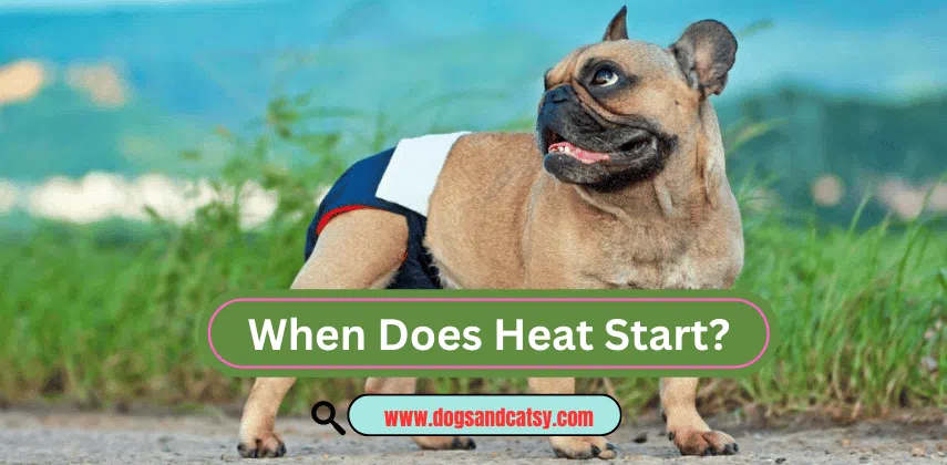 When Does Heat Start?