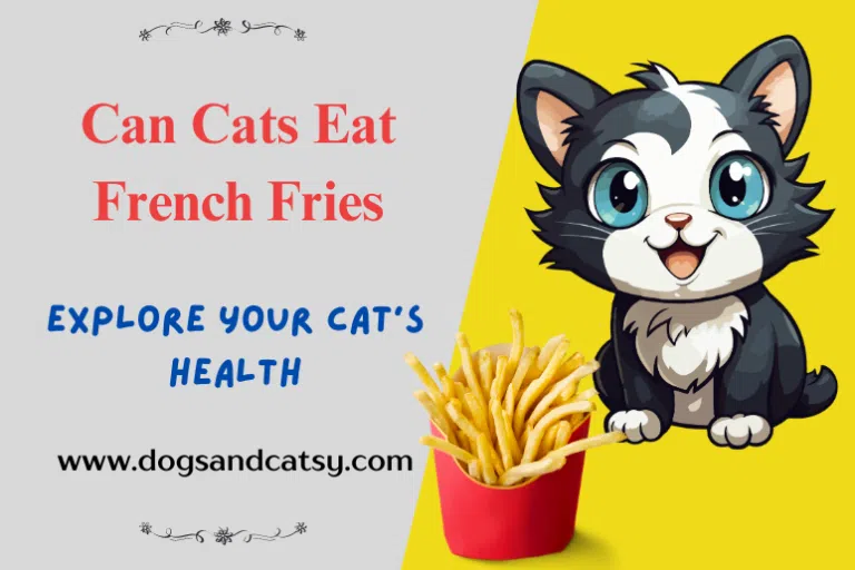 Can Cats Eat French Fries