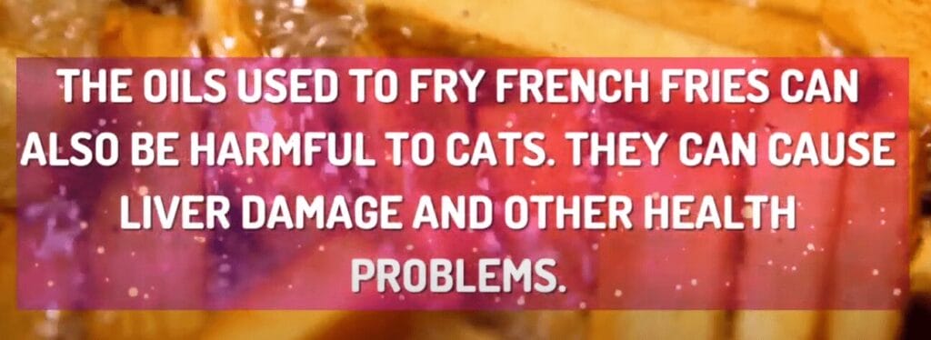 Can cats eat French fries