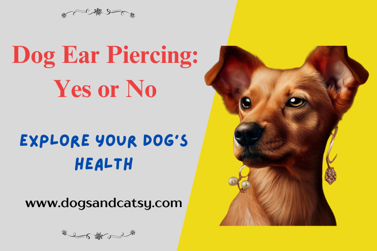 Dog Ear Piercing: Learn What Vets Say!