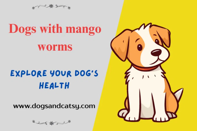 Dogs with mango worms