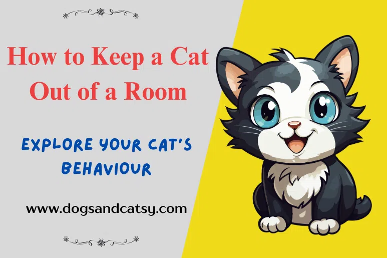 How to Keep a Cat Out of a Room