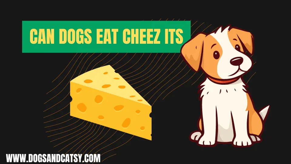 Can dogs eat cheez its