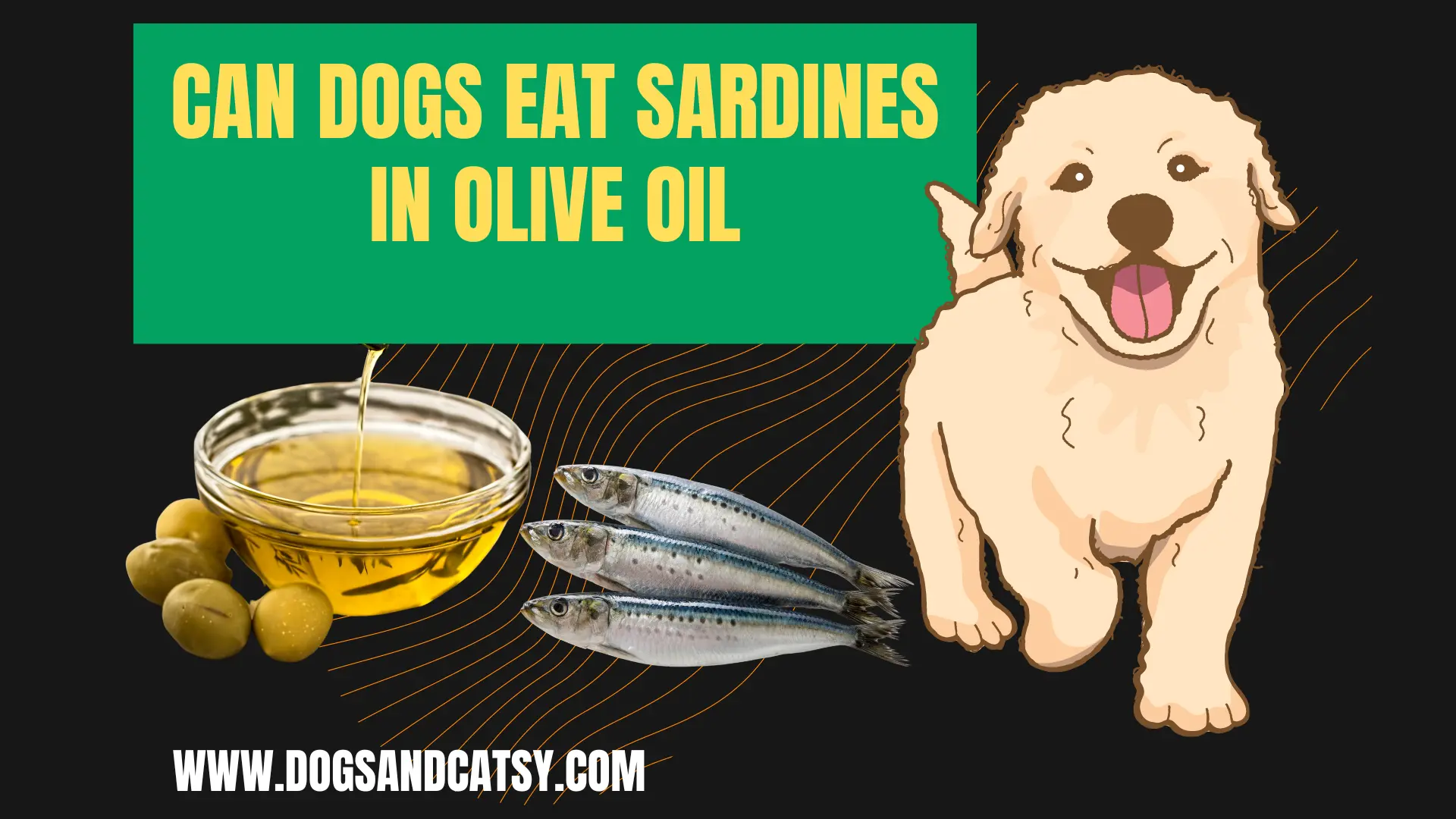 Can dogs eat sardines in olive oil