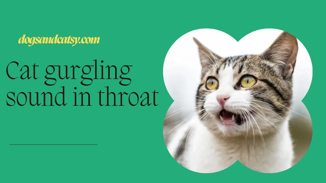 Is Your Cat Gurgling? Find Out Why!