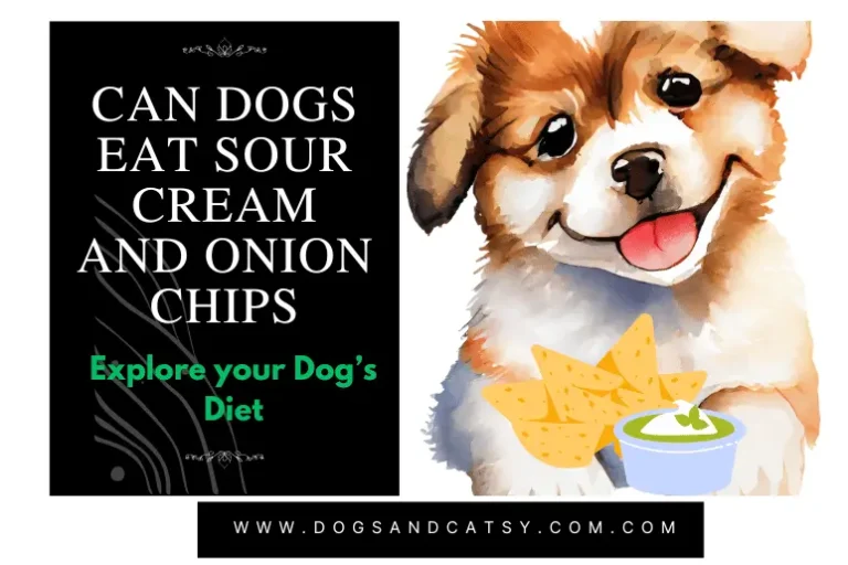 Can dogs eat sour cream and onion chips