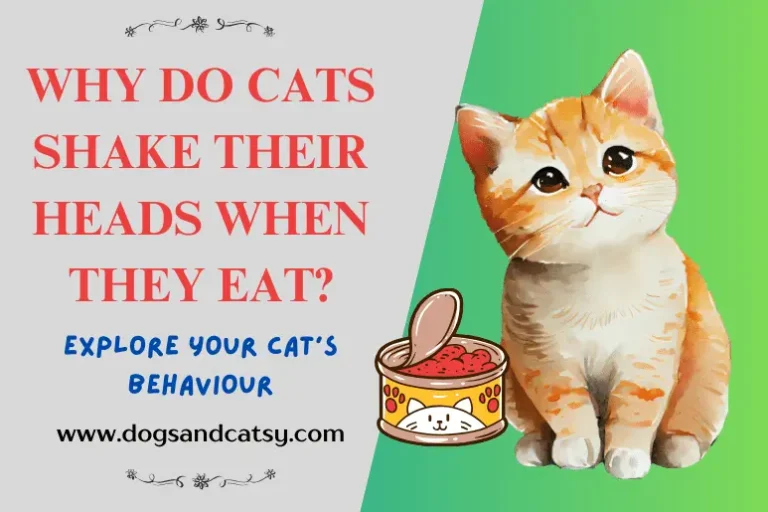 Why do cats shake their heads when they eat?