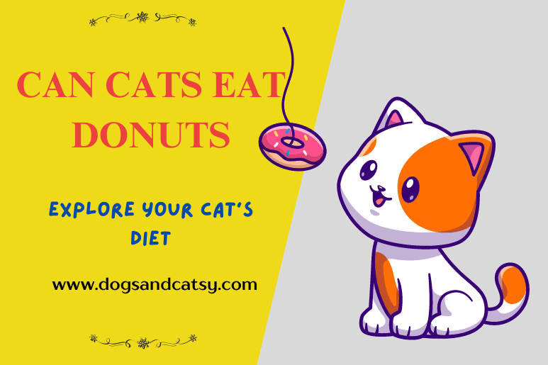 Can Cats Eat Donuts