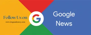 Google News