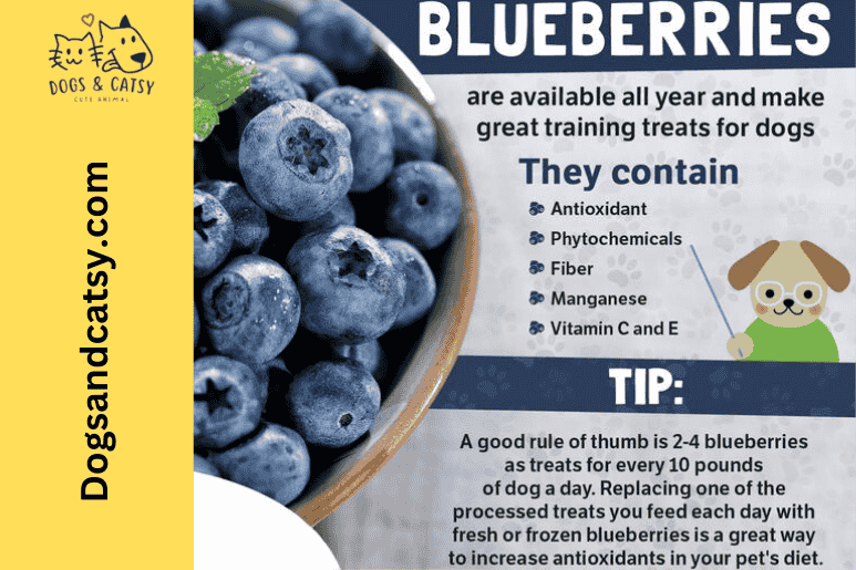 Blueberries Benifits