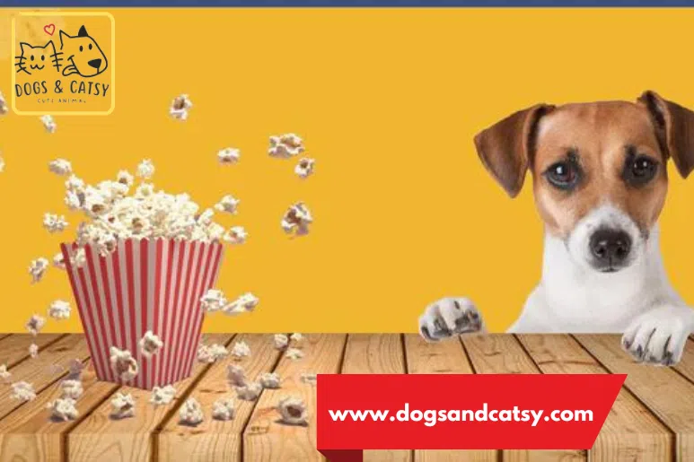 Can Dogs Eat Popcorn