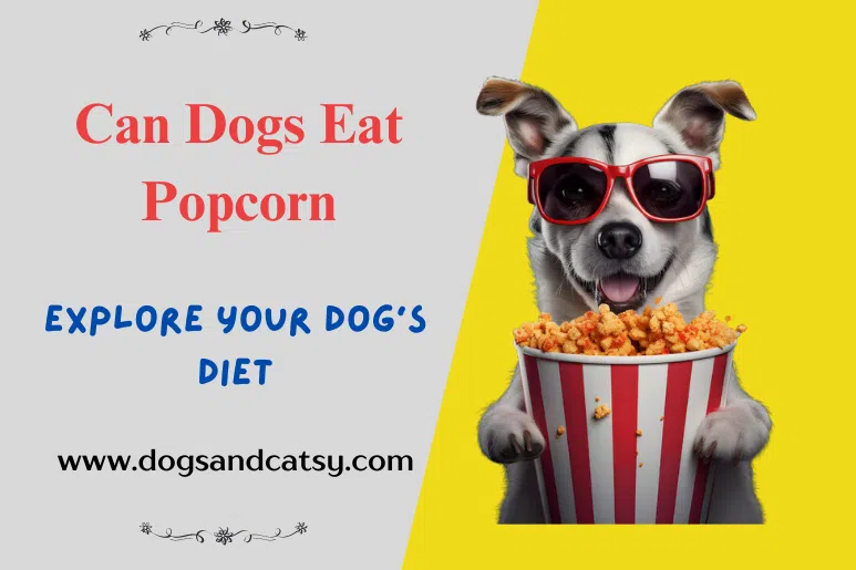 Can Dogs Eat Popcorn