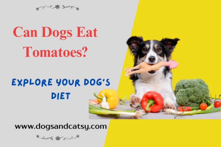 Can Dogs Eat Tomatoes