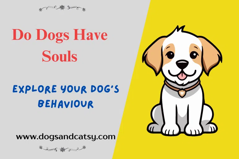 Do Dogs Have Souls