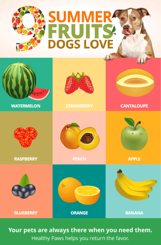 9 Summer Fruits Dogs Love