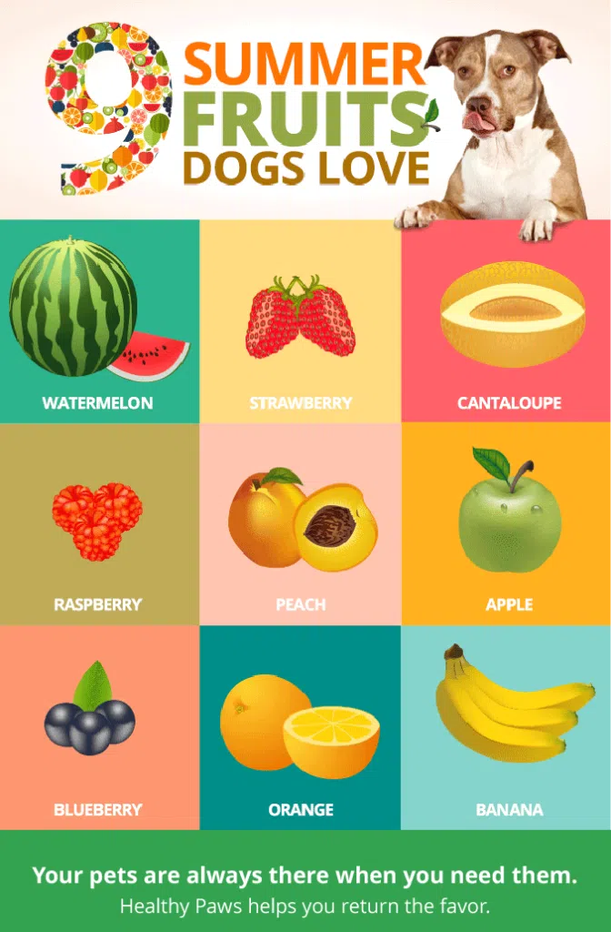 9 Summer Fruits Dogs Love