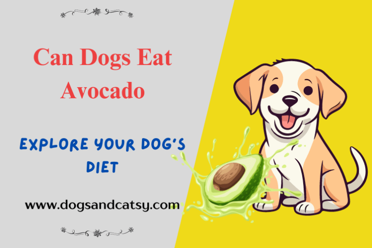 Can Dogs Eat Avocado