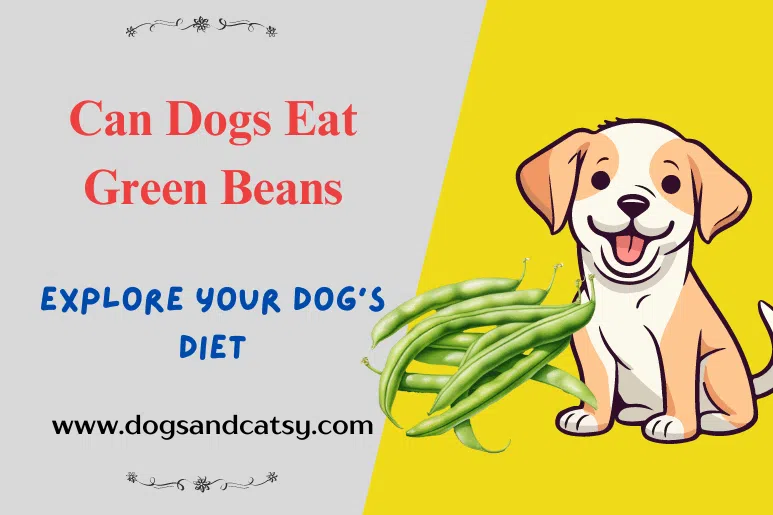 Can Dogs Eat Green Beans