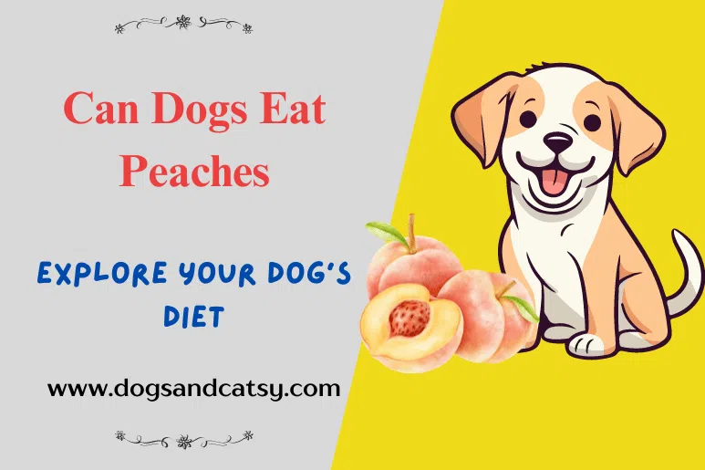 Can Dogs Eat Peaches