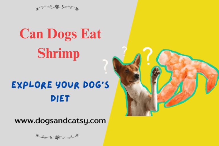 Can Dogs Eat Shrimp