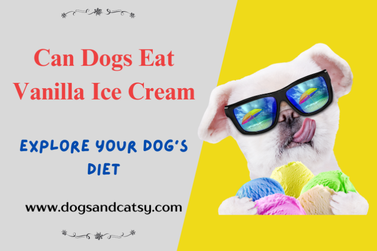 Can Dogs Eat Vanilla Ice Cream