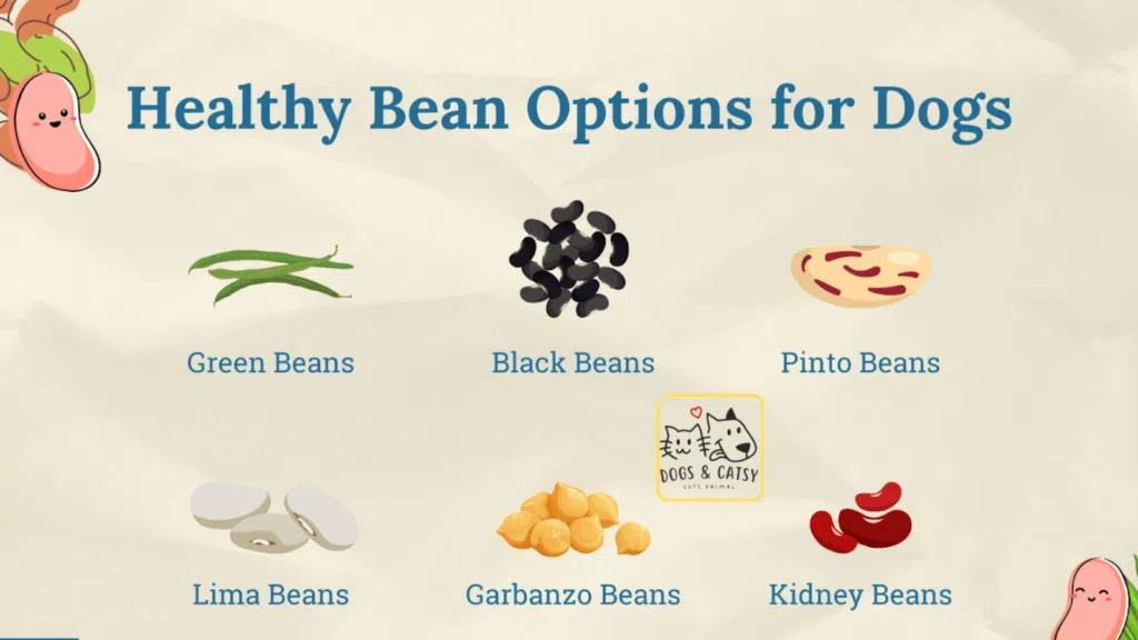 Healthy beans options for dogs