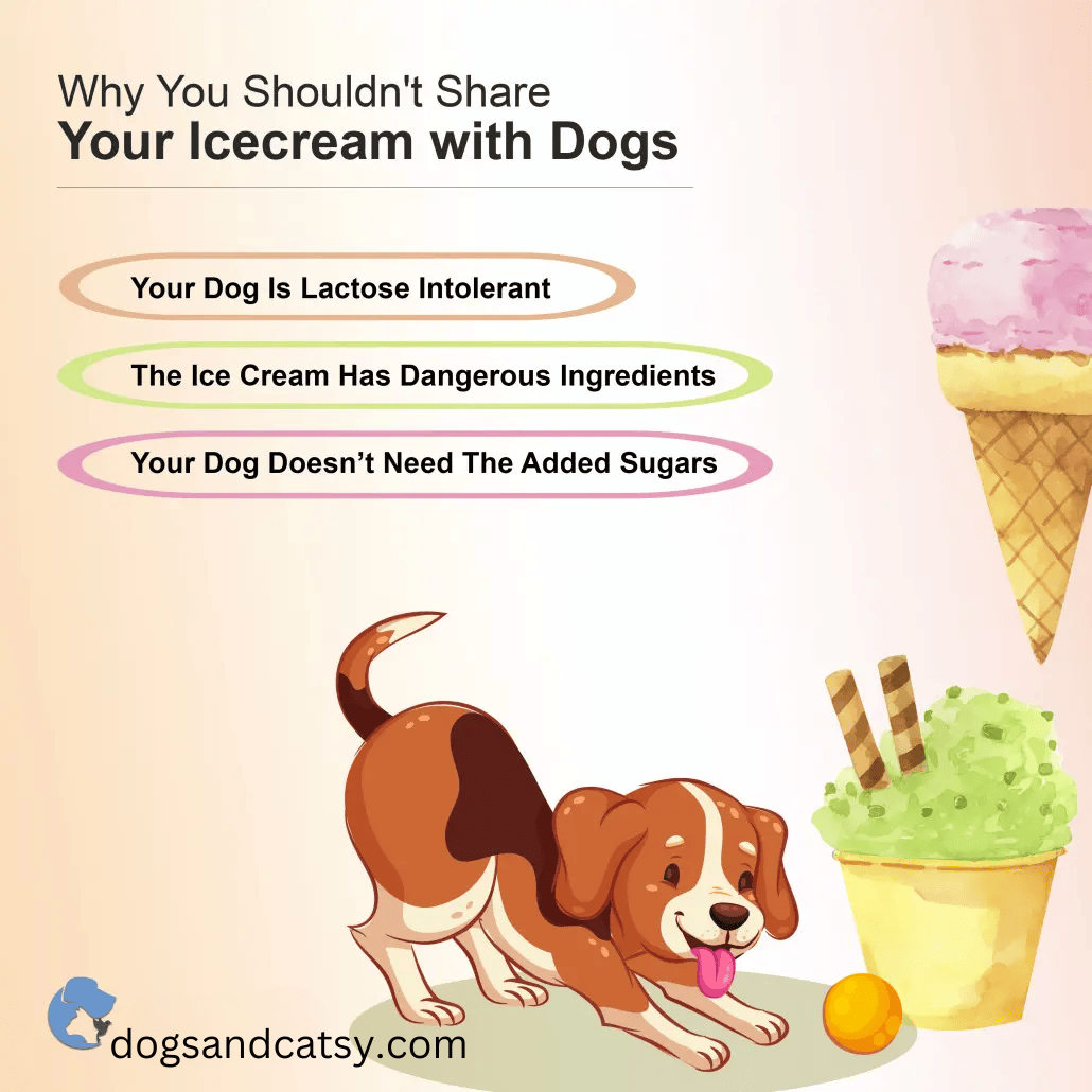 View of Can Dogs Eat Vanilla Ice Cream (Follow A Vet's Advice)