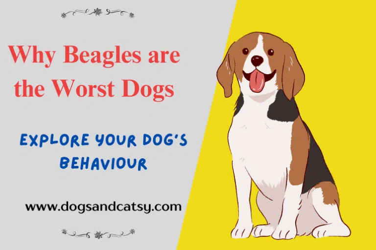 why beagles are the worst dogs