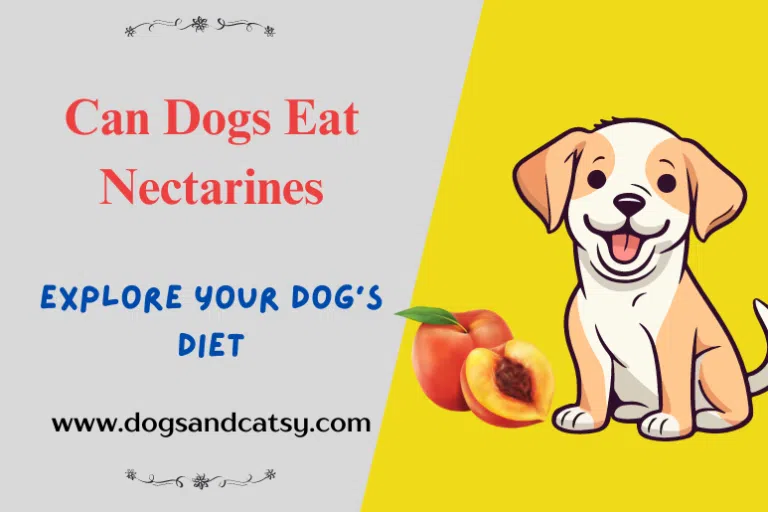 Can Dogs Eat Nectarines