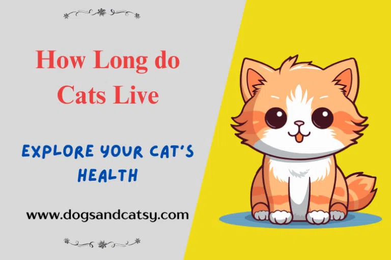 How Long do Cats Live