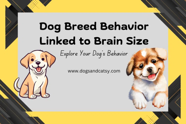 Dog Breed Behavior Linked to Brain Size