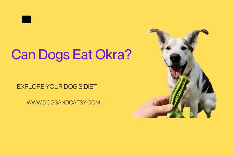 Can Dogs Eat Okra