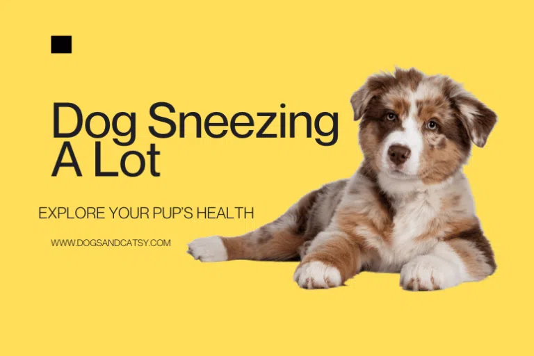 Dog Sneezing A Lot: Causes, Treatment, and Prevention