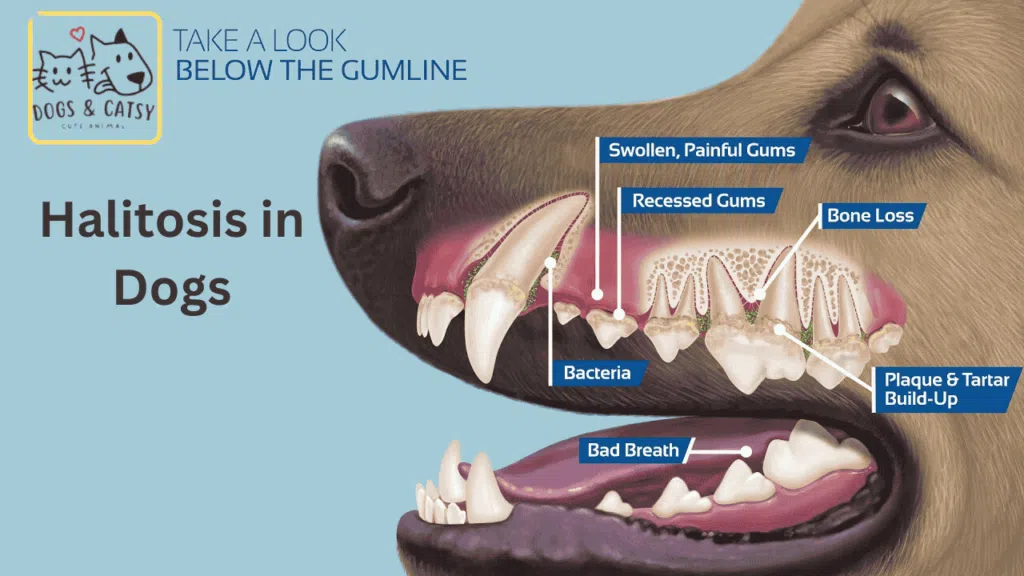 Halitosis in Dogs