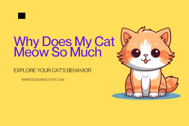 Why Is Your Cat Gurgling? Uncover 5 Reasons!