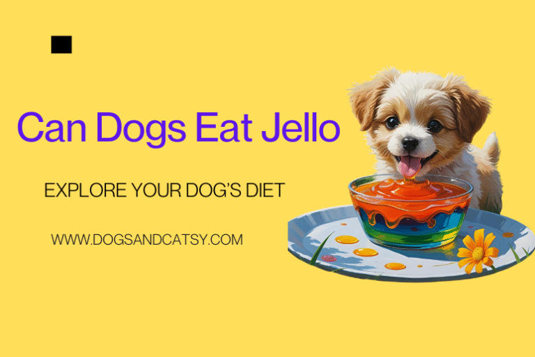Can Dogs Eat Jello