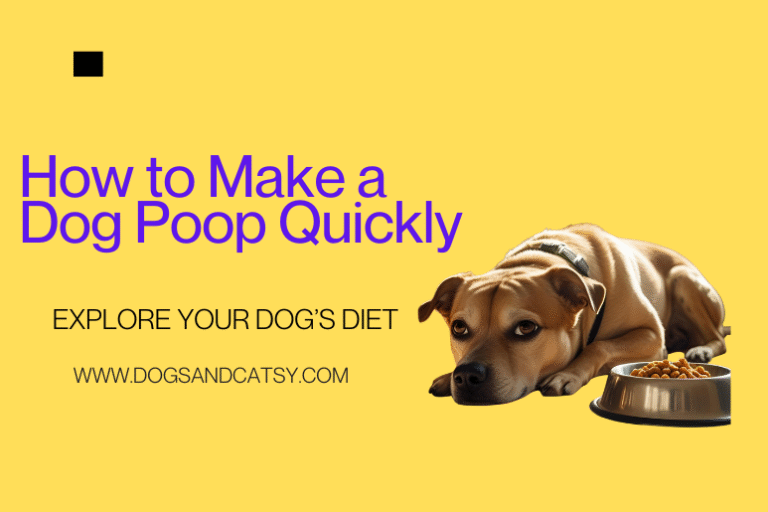 how to make a dog poop quickly