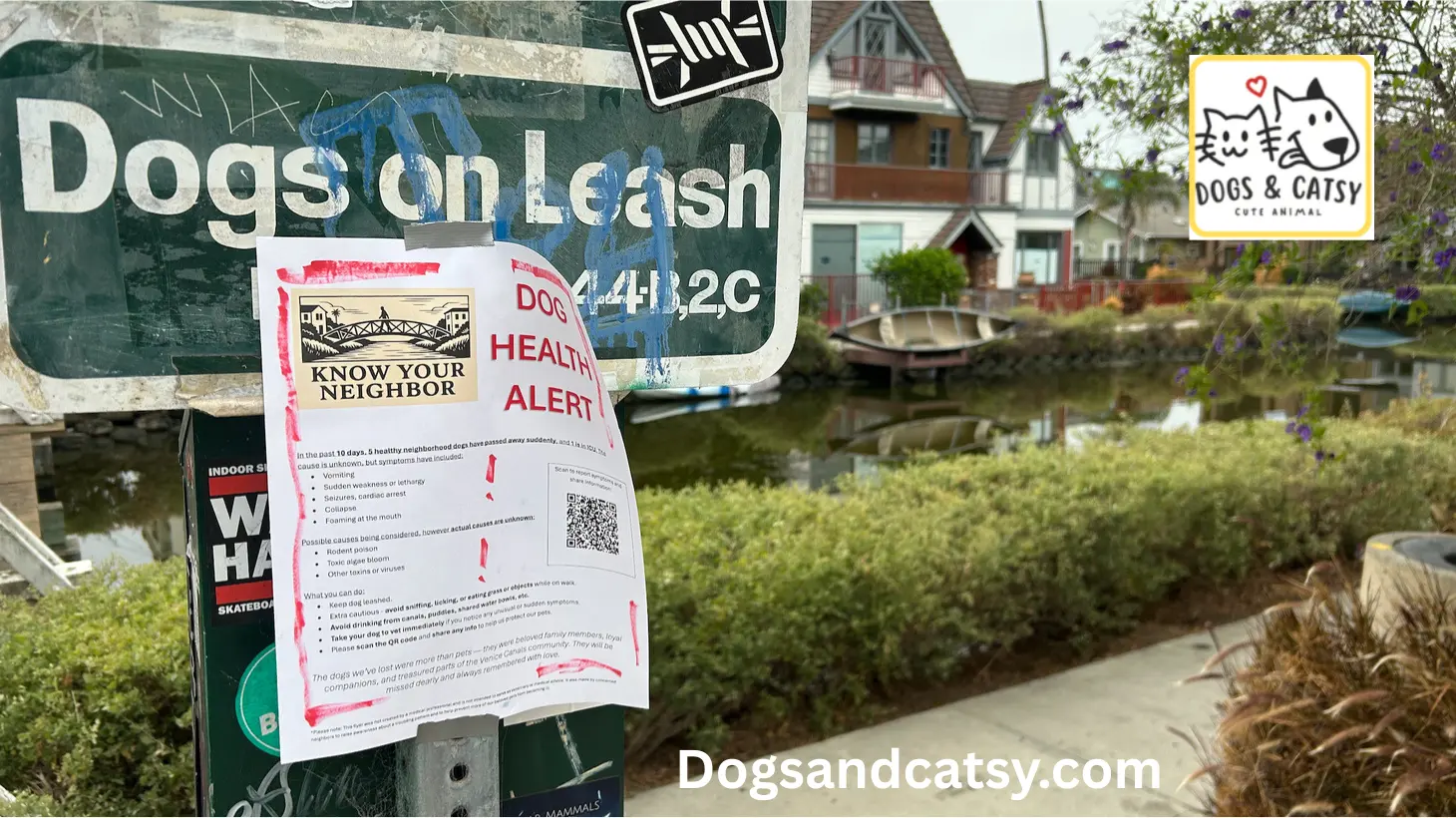 Dogs are mysteriously dying in this Southern California beach town