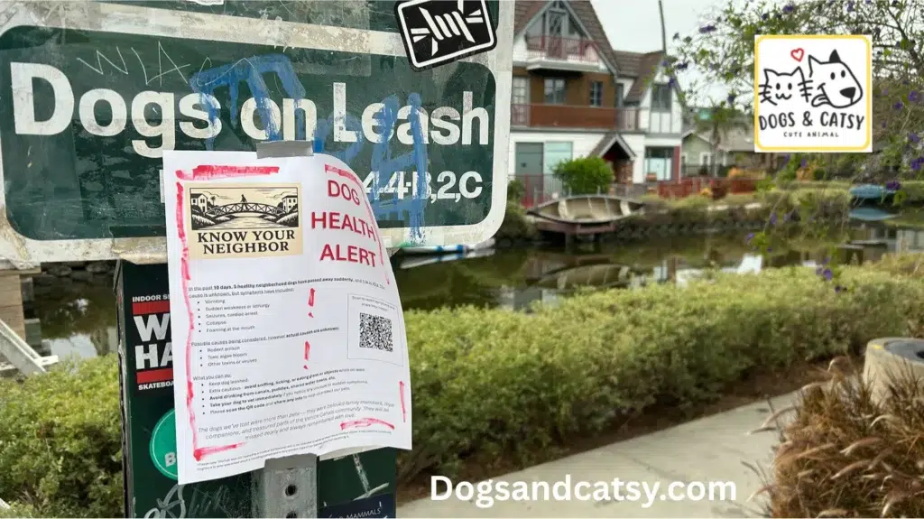 Venice Dog Deaths Linked to Possible Algae Toxins