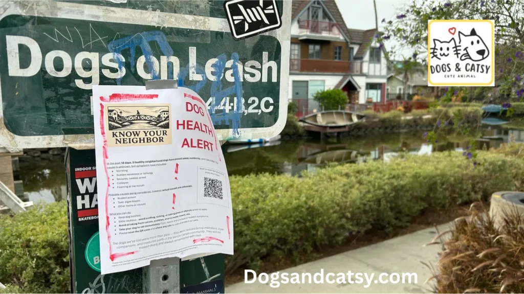 Dogs are mysteriously dying in this Southern California beach town